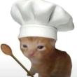 ͷ��