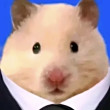 ͷ