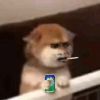 ͷ��