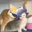 ͷ��
