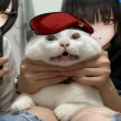 ͷ��