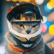 ͷ��