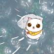 ͷ