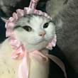 ͷ