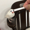 ͷ��