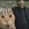 ͷ��