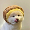 ͷ