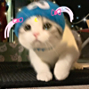 ͷ