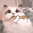 ͷ