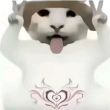 ͷ��