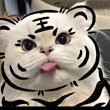 ͷ