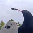 ͷ