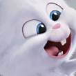 ͷ