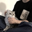 ͷ��