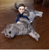 ͷ��