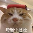 ͷ��