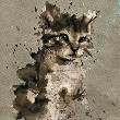ͷ