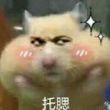 ͷ��