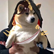 ͷ