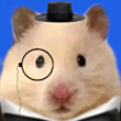 ͷ