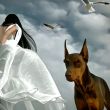 ͷ��