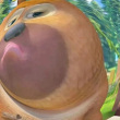 ͷ��
