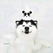ͷ