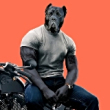 ͷ