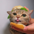 ͷ��