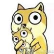 ͷ��