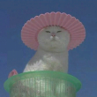 ͷ��