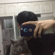 ͷ��