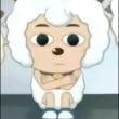 ͷ��