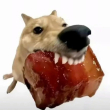 ͷ��