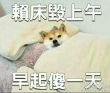 ͷ��