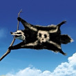 ͷ