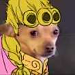 ͷ