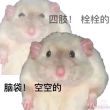 ͷ��