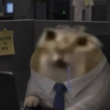 ͷ��