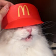 ͷ