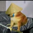 ͷ��