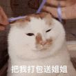ͷ��