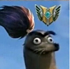 ͷ