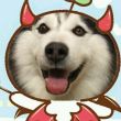 ͷ��
