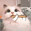 ͷ