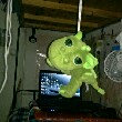 ͷ