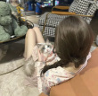 ͷ��