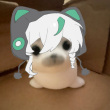 ͷ��