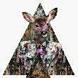ͷ