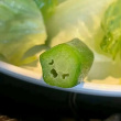 ͷ��
